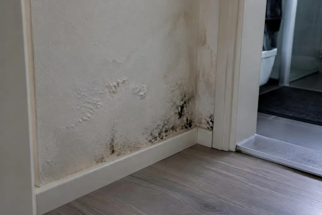 Lekdetectie Edam – vochtplek met schimmel op een muur